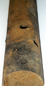 {short description of image}